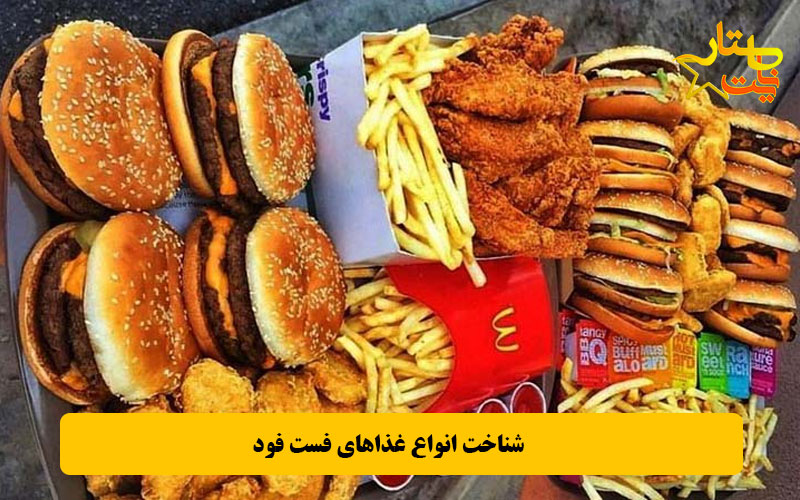 شناخت انواع غذاهای فست فود